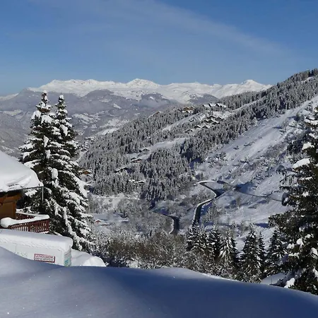 3 Pieces A 100m Des Pistes, Ideal Famille Avec Balcon, Animaux Acceptes - Fr-1-182-199 Apartment *