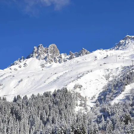 3 Pieces A 100m Des Pistes, Ideal Famille Avec Balcon, Animaux Acceptes - Fr-1-182-199 *